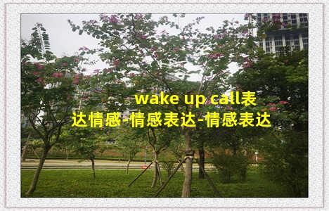 wake up call表达情感-情感表达-情感表达